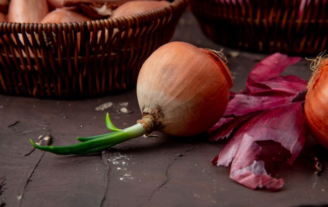 Експерти назвали п'ять сортів цибулі, які можна вирощувати взимку: не бояться морозів та снігу
