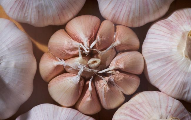 Вы удивитесь: сколько зубчиков чеснока безопасно есть в день