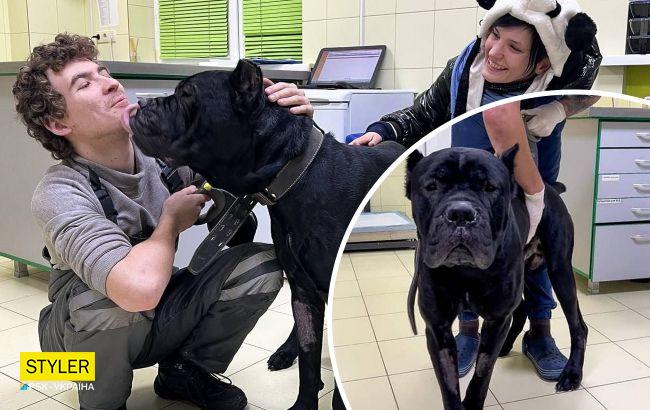 У Києві шукають новий будинок для пса Дарта, який 5 днів охороняв мертвого господаря (фото)