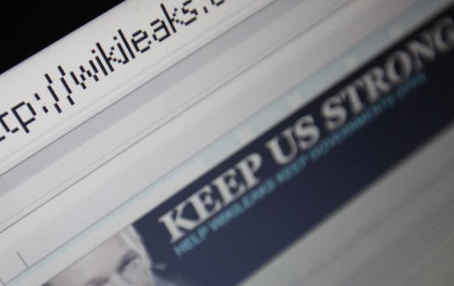 Німеччина перевірить дані WikiLeaks про діяльність ЦРУ в країні