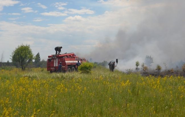 Пожежу під Чорнобилем гасять вже п'яту добу