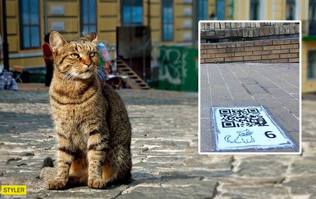 "Умный" маршрут: в Киеве появились экскурсии с котиками