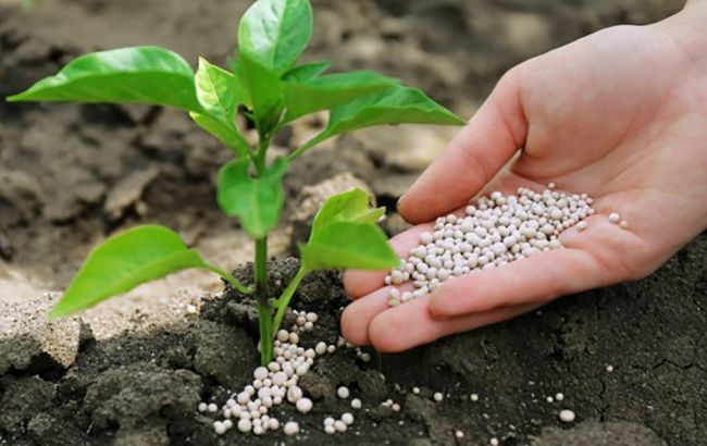 Украина возобновила пошлины на российские удобрения, - МЭРТ