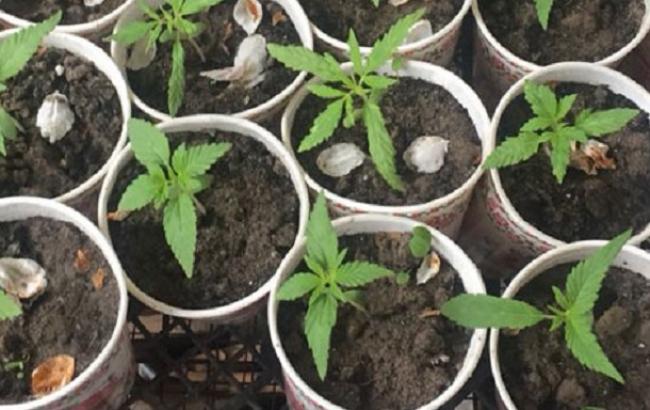 У Львівській області ліквідували велику нарколабораторію