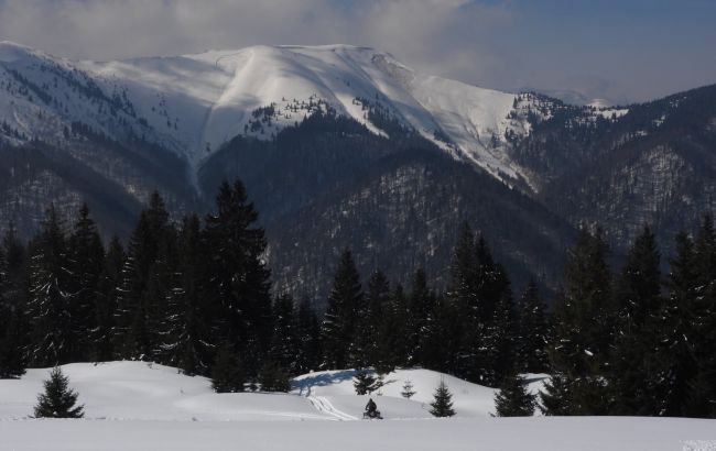 В Карпатах сошла огромная лавина: появились фото
