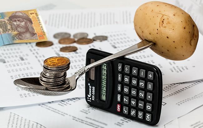 Расходы на субсидии в 2019 году могут увеличить из-за роста тарифов на газ, - эксперт