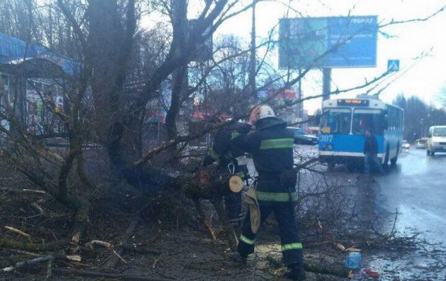 В Украине из-за непогоды обесточены почти 50 населенных пунктов