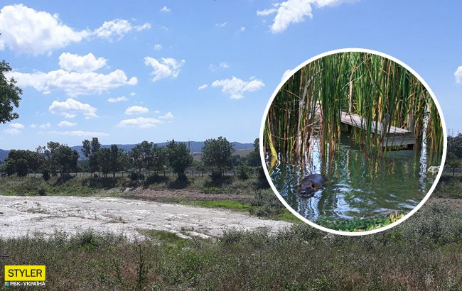 У Криму зникло красиве озеро: місцеві жителі в шоці