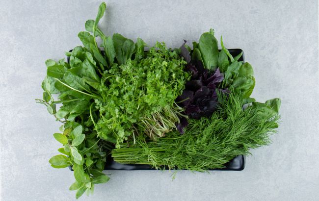 Эти 6 видов зелени стоит есть каждую неделю: польза для организма впечатляет