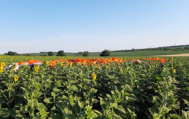 В Полтавской области упал дельтаплан, есть жертвы