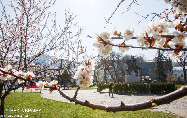 Холоднее нормы на 1 градус: климатологи подвели итоги весны в Киеве