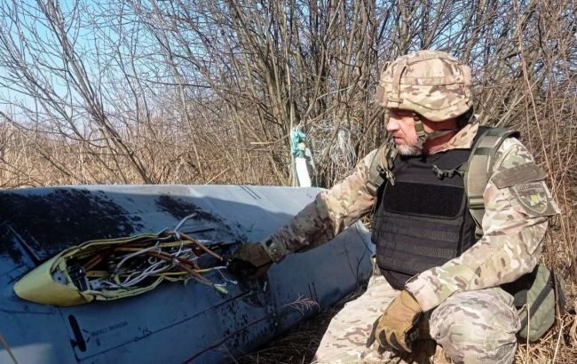 Розлетілись в радіусі 200 метрів. Частини ворожої ракети Х-101 виявили в Вінницькій області (відео)