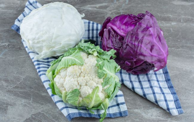 Щоб не згнила та зберігала користь: як правильно зберігати свіжу капусту вдома