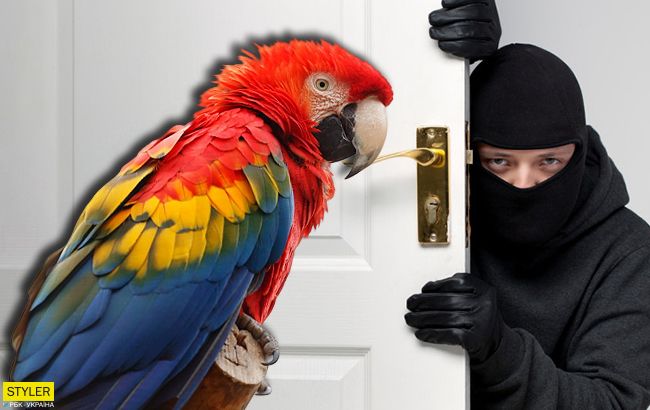 В Луцке из зоопарка украли экзотических птиц: все детали