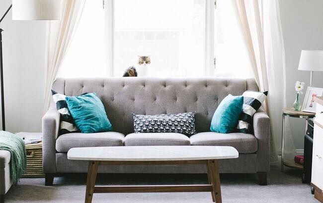 Все, що потрібно знати, купуючи диван