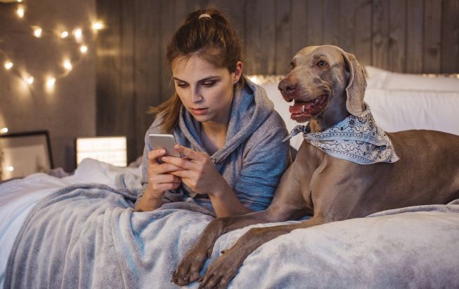 Чипа вже недостатньо: які правила ввели для власників собак у Києві та за що загрожує штраф