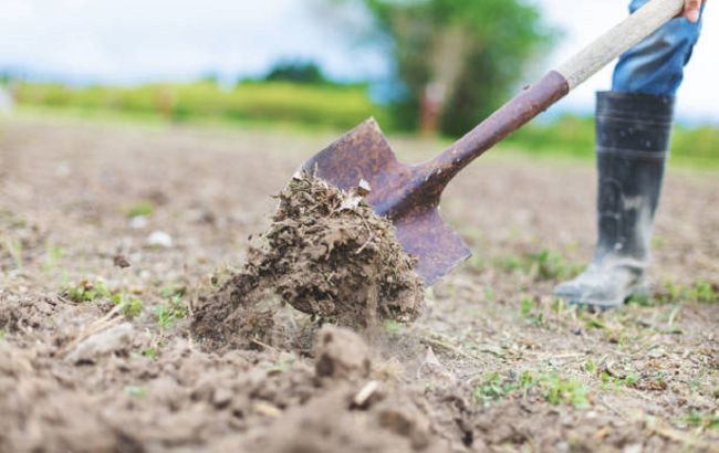 Утеплення грядок восени: як захистити врожай і не нашкодити ґрунту?