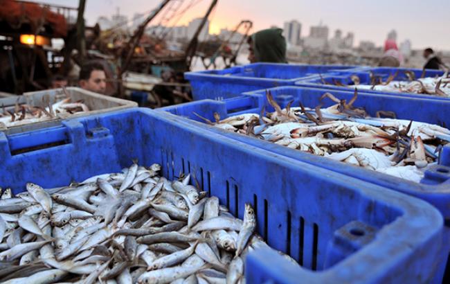 Россия не допустила ввоз в Крым крупной украинской партии рыбы