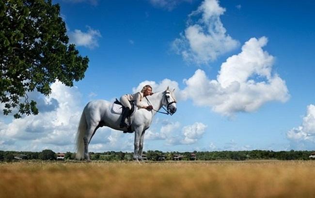 Гороскоп на сегодня, 29 марта