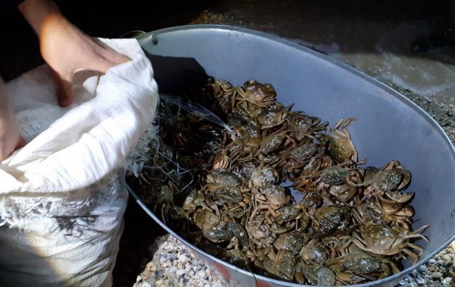 Полиция задержала браконьеров с краснокнижными крабами на 90 млн гривен
