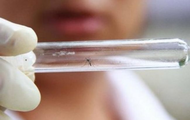 ВООЗ проведе екстрену нараду по боротьбі з вірусом Зіка