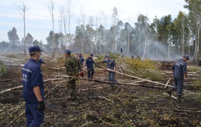 Спасатели тушат 6 очагов тления торфа в Киевской области