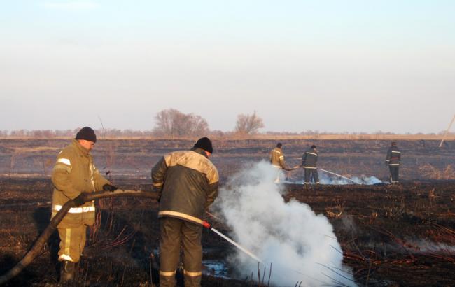 В Киевской, Сумской и Полтавской областях продолжают тлеть торфяники