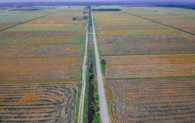 Майже 70% українців впевнені, що олігархи скуплять більшість земель