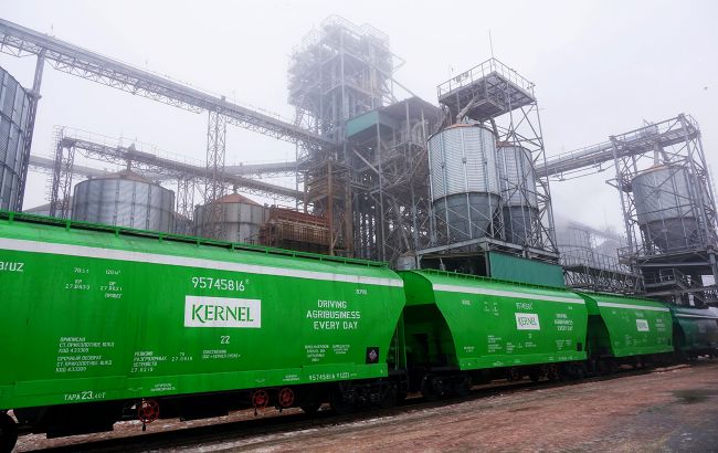 Каждый 10-й доллар в экспорте Украины - от Kernel: результаты исследования