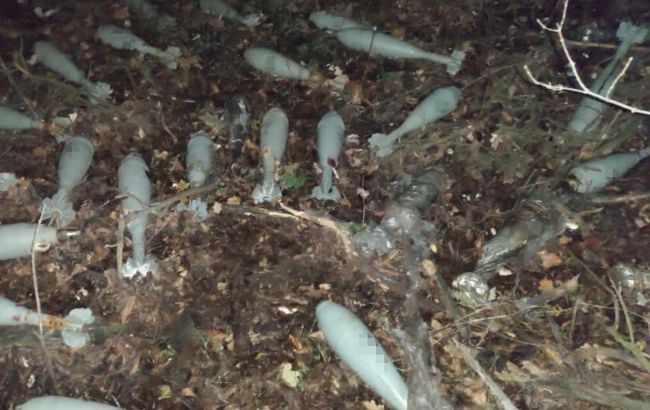 Возле Запорожья нашли тайник с минами