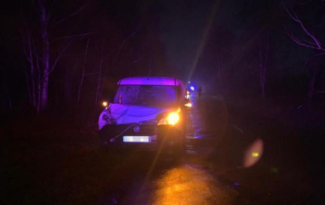У Житомирській області авто збило двох дітей, одна з них загинула