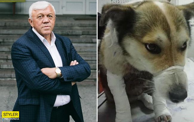 Прив'язав собаку до автомобіля: чиновнику загрожує великий тюремний термін