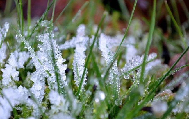 Синоптики предупреждают о заморозках и порывах ветра в Украине