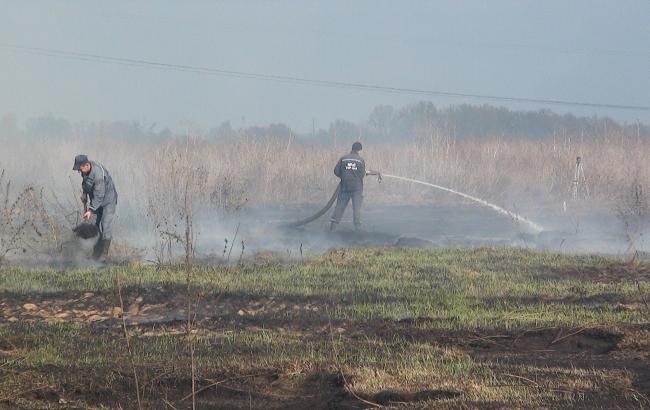 Под Киевом тушат 17 очагов тления торфа