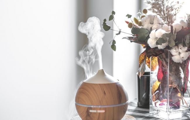Ось де категорично не варто ставити зволожувач повітря: завдасть багато шкоди