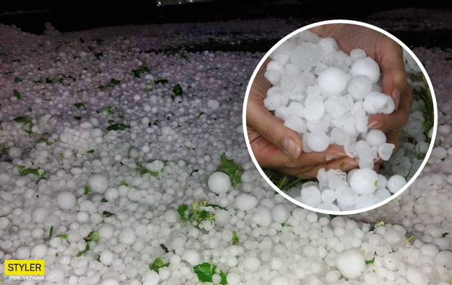 Тернопольскую область накрыло крупным градом: побило весь урожай