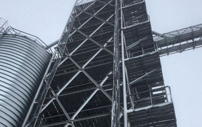 СБУ викрила протиправну схему експорту зерна