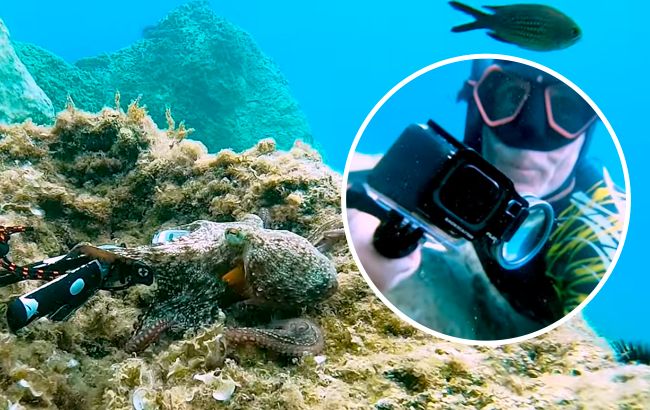 Восьминіг вкрав фотоапарат та почав знімати своє відео: що з цього вийшло