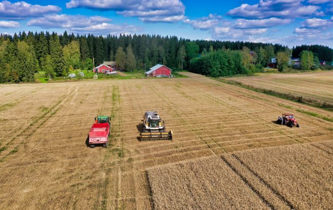 Одесская область соберет меньше урожая, чем в прошлом году: названа причина