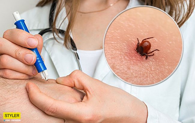 В Украине начался сезон клещей: развенчаны самые популярные мифы