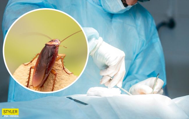 Прокинувся від болю і лоскоту: у Тернополі тарган заліз у вухо підлітку і повзав там