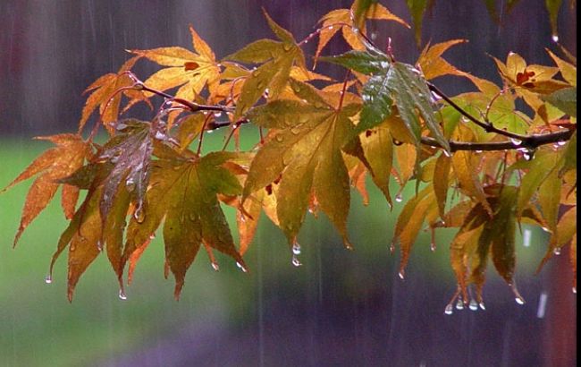 КГГА предупреждает об усилении дождя в Киеве до конца дня