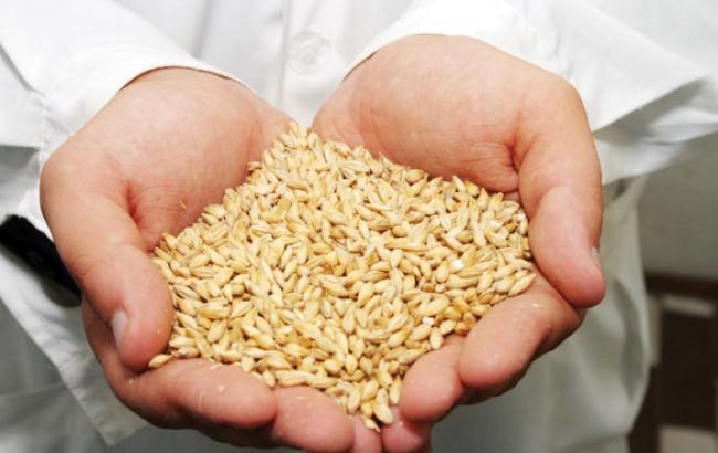 Темпы экспорта зерновых выросли на 10% до рекордных 15,85 млн тонн, - ГП "Держзовнишинформ"