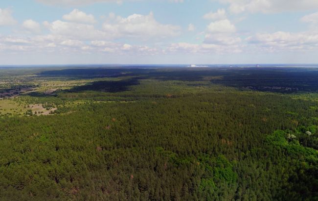 В Чернобыльской зоне тестируют оборудование для раннего обнаружения пожаров