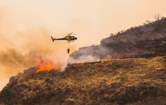 С Канарских островов из-за лесных пожаров эвакуировали 4 тыс. человек