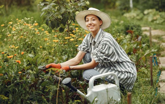 Эти домашние отходы несите на свой огород: получится отличное удобрение для почвы!