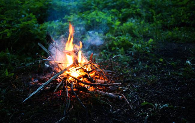 Надзвичайний рівень пожежної небезпеки у Києві утримається до 26 квітня