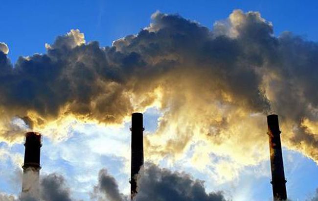 Около миллиона биологических видов находятся под угрозой вымирания, - доклад