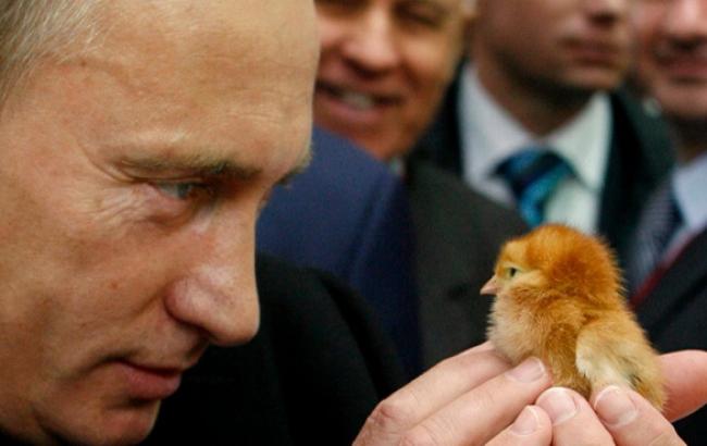 РФ решила ужесточить проверку транзитной украинской продукции