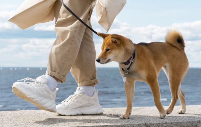 Мінімальна кількість кроків, яку ви маєте робити щодня: про це мало хто знає